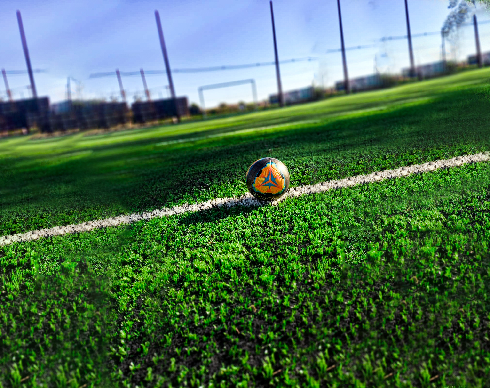 Grama Esportiva